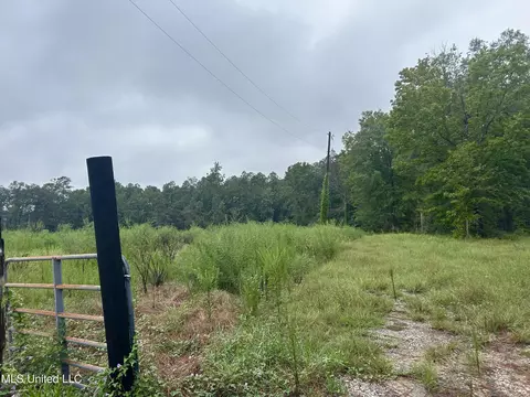 00 Wirecampground Rd, Vancleave, MS 39565 photo 20