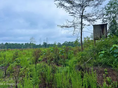 00 Wirecampground Rd, Vancleave, MS 39565 photo 6