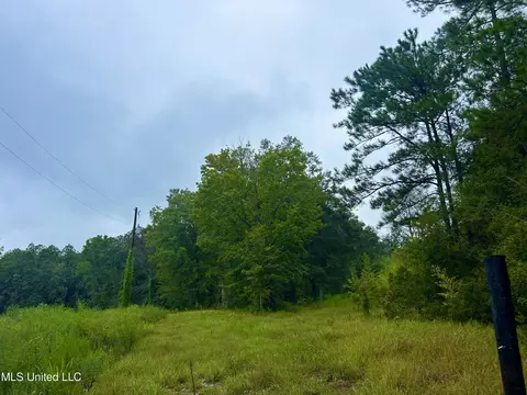 00 Wirecampground Rd, Vancleave, MS 39565 photo 19