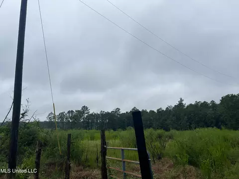 00 Wirecampground Rd, Vancleave, MS 39565 photo 18