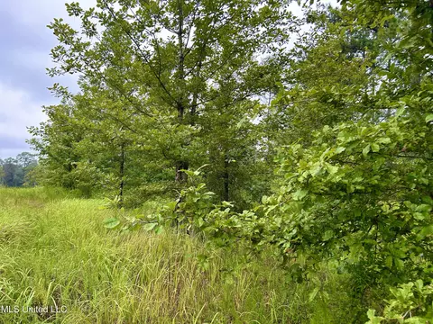 00 Wirecampground Rd, Vancleave, MS 39565 photo 2