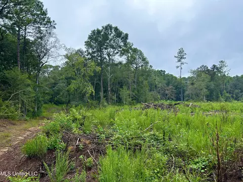 00 Wirecampground Rd, Vancleave, MS 39565 photo 4