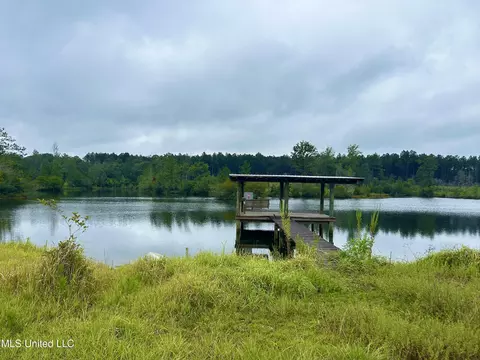 00 Wirecampground Rd, Vancleave, MS 39565 photo 17