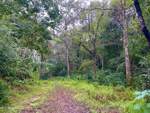 00 Wirecampground Rd, Vancleave, MS 39565 photo 8