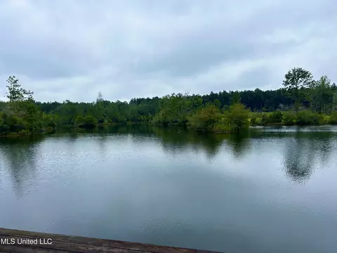 00 Wirecampground Rd, Vancleave, MS 39565 photo 11