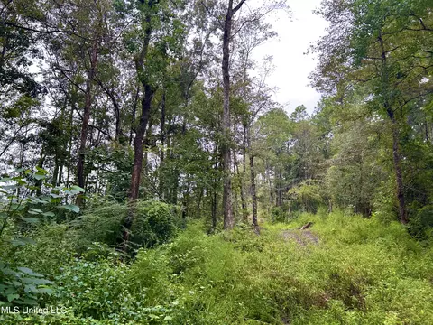 00 Wirecampground Rd, Vancleave, MS 39565 photo 7