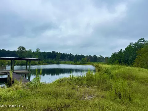 00 Wirecampground Rd, Vancleave, MS 39565 photo 12