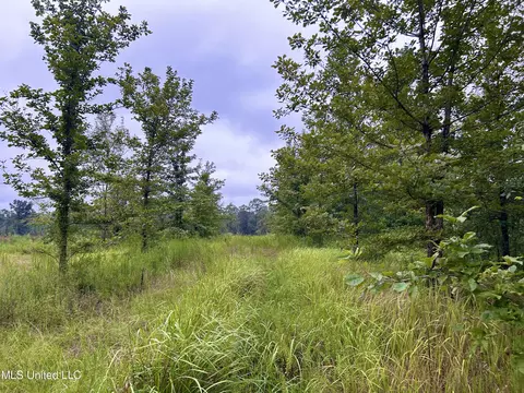 00 Wirecampground Rd, Vancleave, MS 39565 photo 3