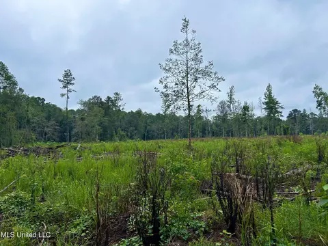 00 Wirecampground Rd, Vancleave, MS 39565 photo 5