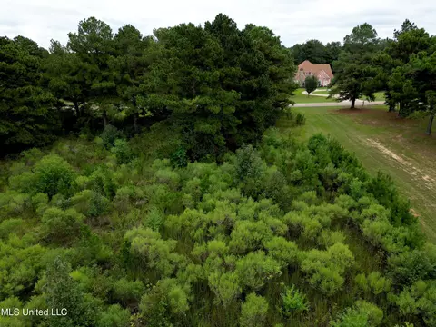 000 Bozeman Rd, Madison, MS 39110 photo 10