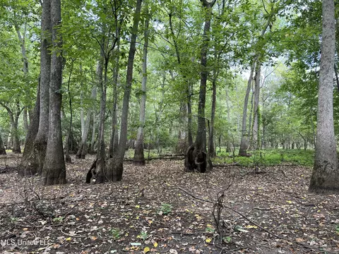 Darling Road, Darling, MS 38623 photo 15