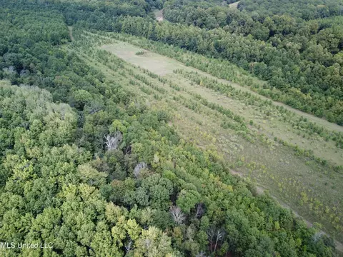 Darling Road, Darling, MS 38623 photo 4