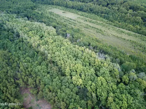 Darling Road, Darling, MS 38623 photo 5