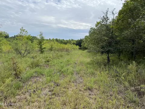 Darling Road, Darling, MS 38623 photo 18