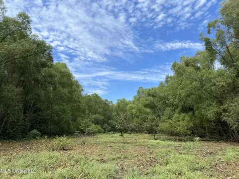 Darling Road, Darling, MS 38623 photo 7