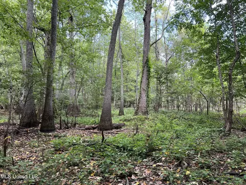 Darling Road, Darling, MS 38623 photo 16