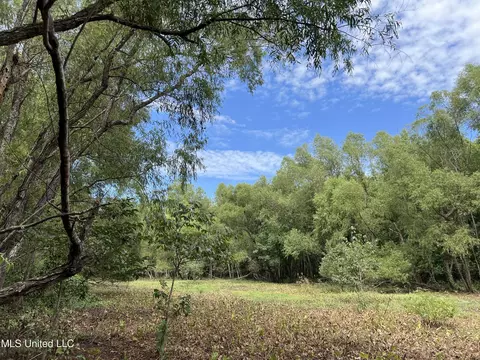 Darling Road, Darling, MS 38623 photo 8