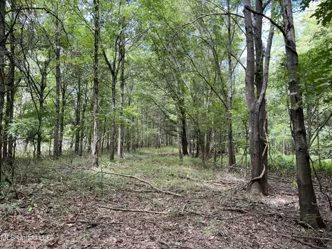 Darling Road, Darling, MS 38623 photo 13