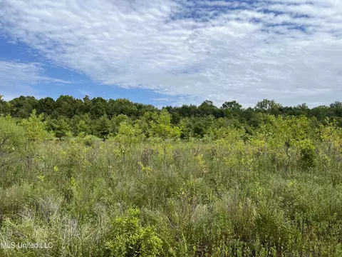 Darling Road, Darling, MS 38623 photo 17