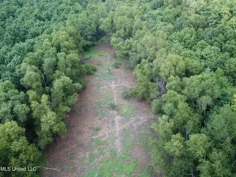 Darling Road, Darling, MS 38623 photo 6