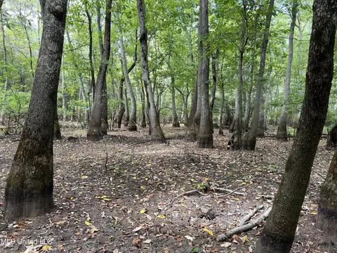Darling Road, Darling, MS 38623 photo 14