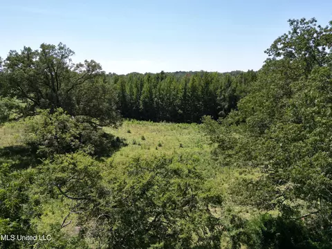 8303 Springridge Rd, Terry, MS 39170 photo 3