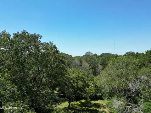 8303 Springridge Rd, Terry, MS 39170 photo 4