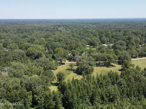 8303 Springridge Rd, Terry, MS 39170 photo 15