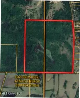 8303 Springridge Rd, Terry, MS 39170 photo 17