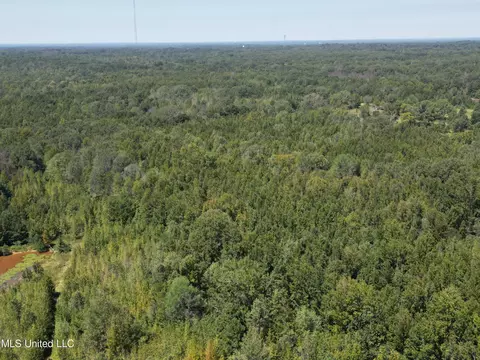 8303 Springridge Rd, Terry, MS 39170 photo 11