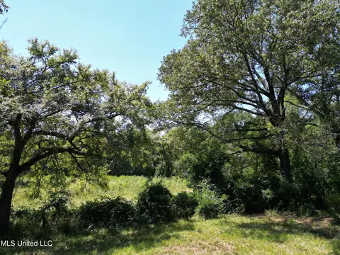 8303 Springridge Rd, Terry, MS 39170 photo 2