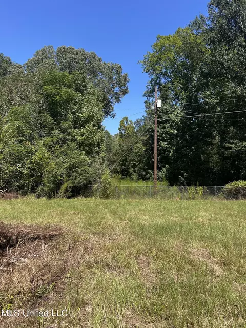 8303 Springridge Rd, Terry, MS 39170 photo 12