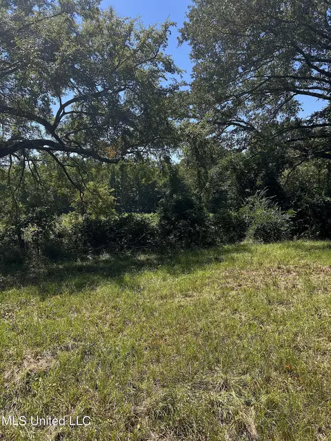 8303 Springridge Rd, Terry, MS 39170 photo 13