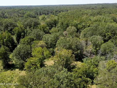 8303 Springridge Rd, Terry, MS 39170 photo 5