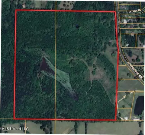 8303 Springridge Rd, Terry, MS 39170 photo 19