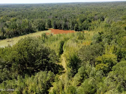8303 Springridge Rd, Terry, MS 39170 photo 9