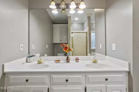 Bath - 1136 Ellington Ct, Brandon, MS 39042 photo 2 of 3