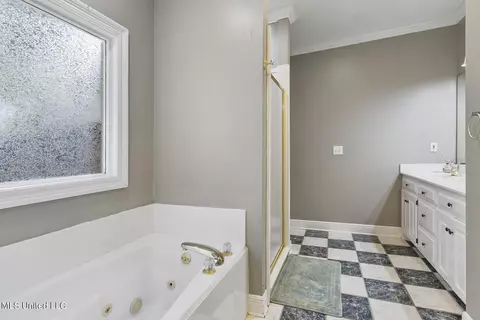 Bath - 1136 Ellington Ct, Brandon, MS 39042 photo 3 of 3