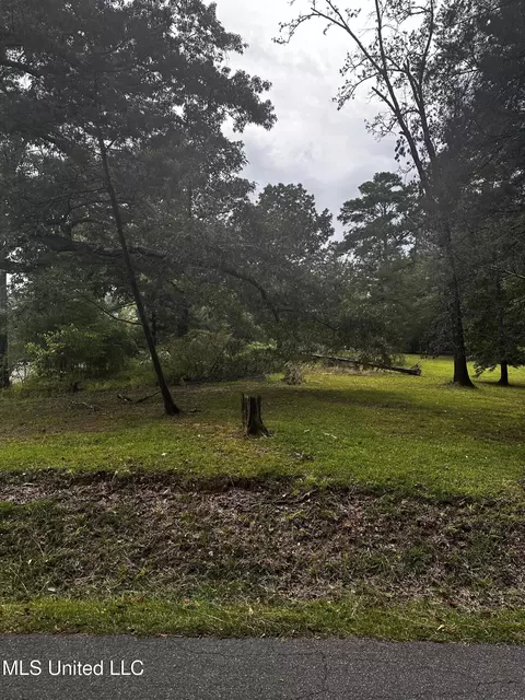 Other - 231 Zelma Ln, Florence, MS 39073 photo 3 of 5