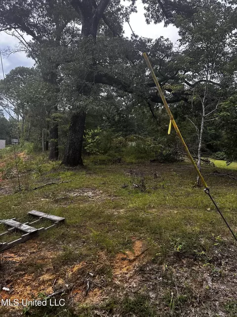 Other - 231 Zelma Ln, Florence, MS 39073 photo 1 of 5