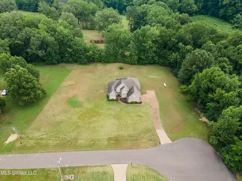 1780 Saulsberry Dr, Nesbit, MS 38651 photo 37