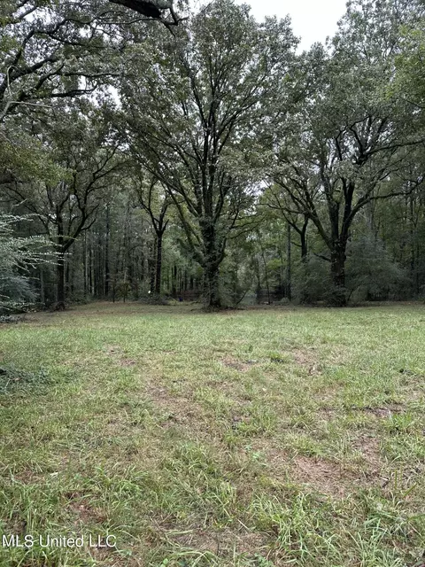 11 Th Ave Nw And Old Magee Rd, Magee, MS 39111 photo 6