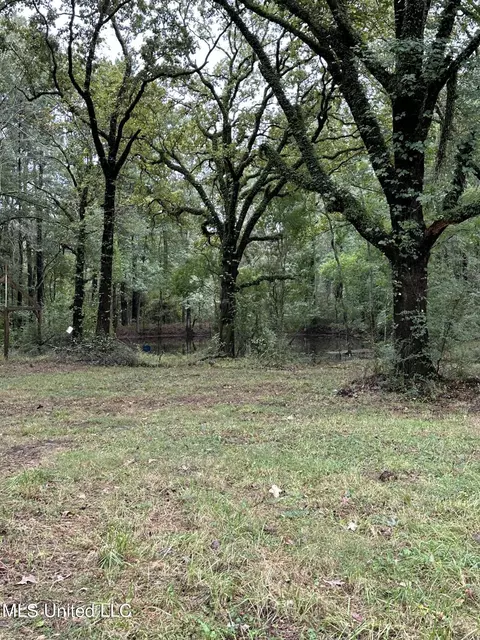 11 Th Ave Nw And Old Magee Rd, Magee, MS 39111 photo 5