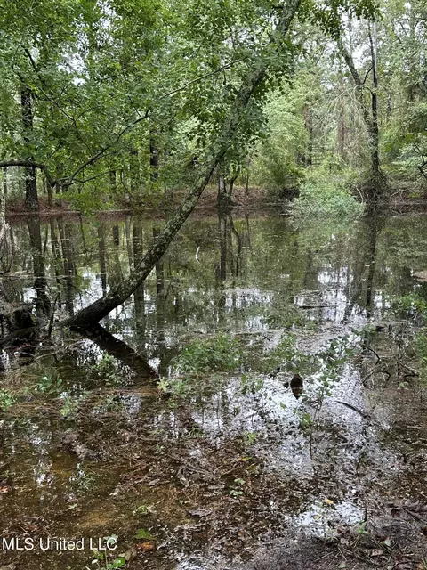 11 Th Ave Nw And Old Magee Rd, Magee, MS 39111 photo 7