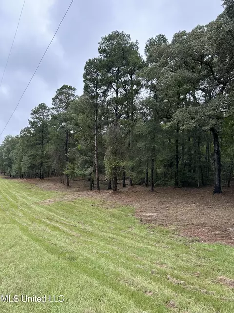 11 Th Ave Nw And Old Magee Rd, Magee, MS 39111 photo 2