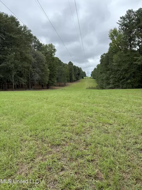 11 Th Ave Nw And Old Magee Rd, Magee, MS 39111 photo 3