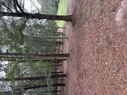 11 Th Ave Nw And Old Magee Rd, Magee, MS 39111