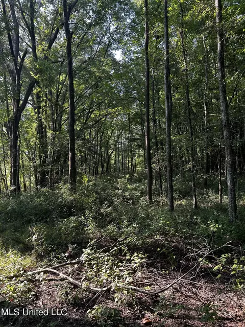 00 N Us-49, Jackson, MS 39209 photo 6