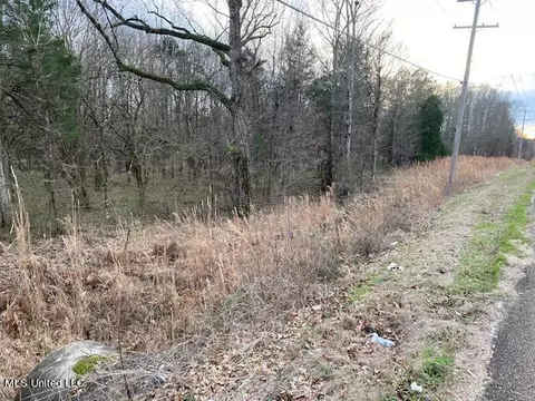 000 Magnolia Rd, Clinton, MS 39056