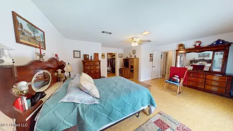 318 Wild Cedar Pl, Brandon, MS 39042 photo 16